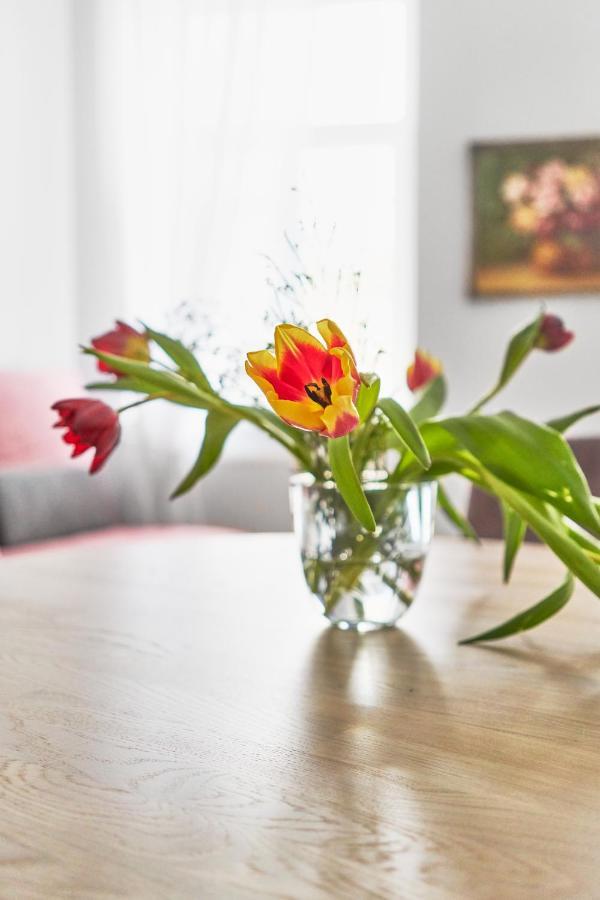 New And Lovely Apartament In Vilnius City Centre Luaran gambar